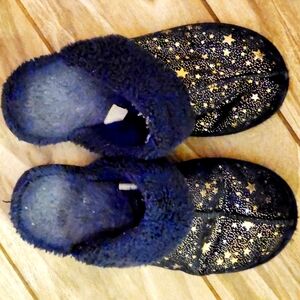 Well Worn Navy Blue Stat Slippers